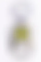 ImprintNow.com.au