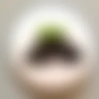 ImprintNow.com.au