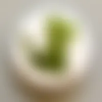 ImprintNow.com.au