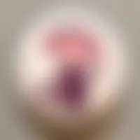 ImprintNow.com.au