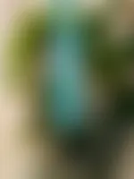 ImprintNow.com.au