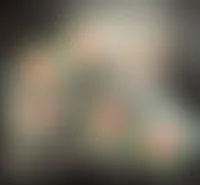 ImprintNow.com.au