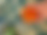 ImprintNow.com.au