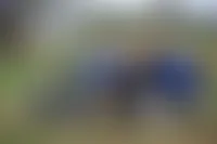 ImprintNow.com.au
