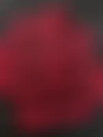 ImprintNow.com.au