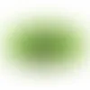 Oval - Imprint Now - AUS