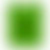 Lime Green - Imprint Now - AUS