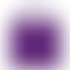 Plum - Imprint Now - AUS