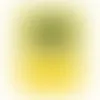 YELLOW - Imprint Now - AUS