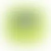 Lime Green - Imprint Now - AUS