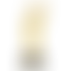 Singing Star Trophy - Imprint Now - AUS