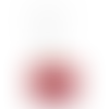 Tomato Keychain
