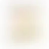 SEG Backlit Counter - Imprint Now - AUS