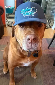 ImprintNow.com.au - Full Color TPU