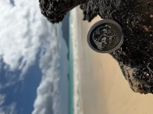 ImprintNow.com.au - 3D Challenge Coins