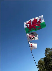 ImprintNow.com.au - Rectangle Flag