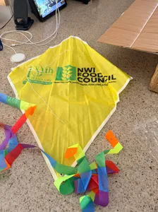 ImprintNow.com.au - Diamond Kites