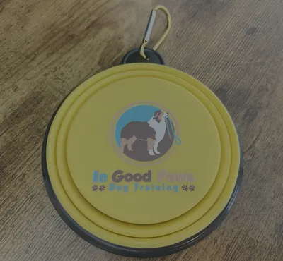 Collapsible Silicone Bowls - Ill be raffling off these collapsible dog water bowls at marketing talks Im doing at local apartment complexes Im a dog trainer and loved how they came out