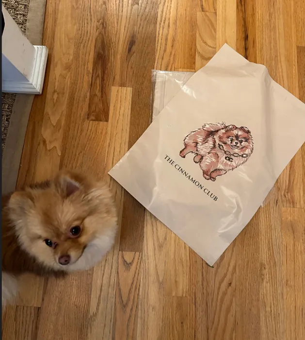 ImprintNow.com.au - Custom Poly Mailer