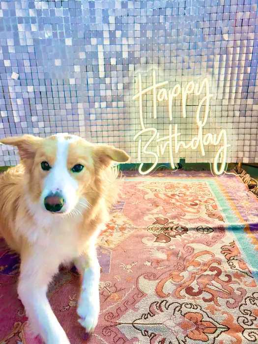 ImprintNow.com.au - Custom Neon Sign