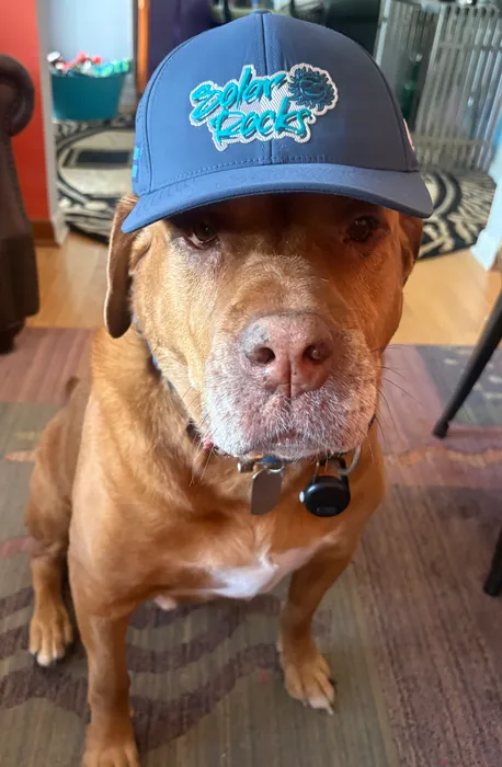 ImprintNow.com.au - Full Color TPU