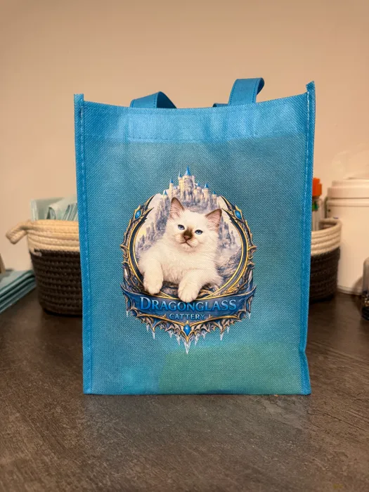 ImprintNow.com.au - Custom Small Gift Tote Bag