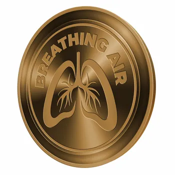 Challenge Coins - Imprint Now - AUS