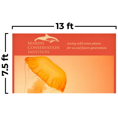 396 x 229 cm - Imprint Now - AUS