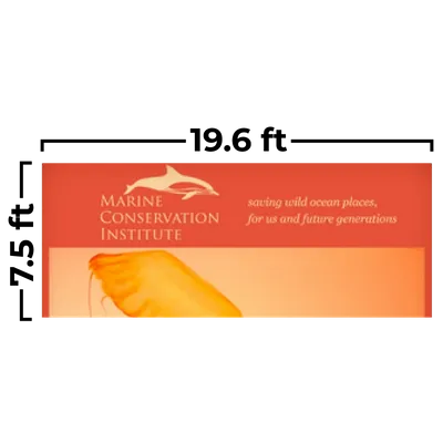 597 x 229 cm - Imprint Now - AUS