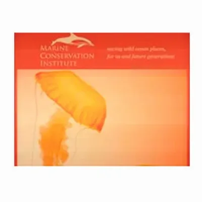 None - Imprint Now - AUS