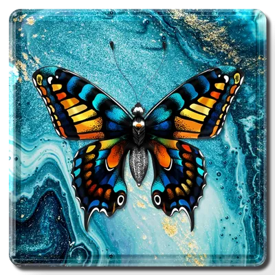 Square - Imprint Now - AUS