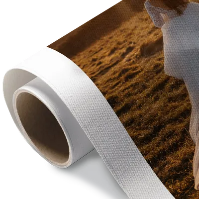 Rolled Canvas Rolled Canvas - Imprint Now - AUS