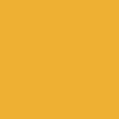 Orange - Imprint Now - AUS