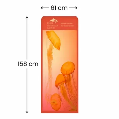 61 x 158 cm - Imprint Now - AUS