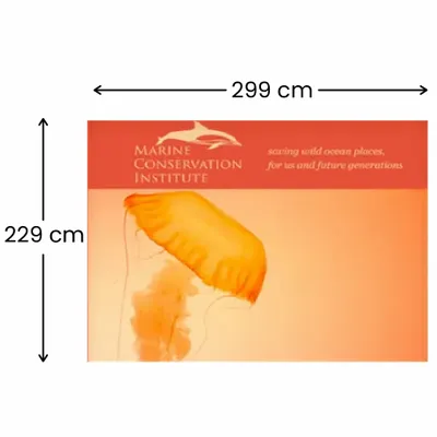 299 x 229 cm - Imprint Now - AUS