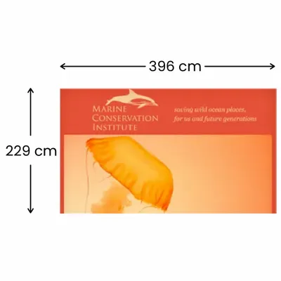 396 x 229 cm - Imprint Now - AUS