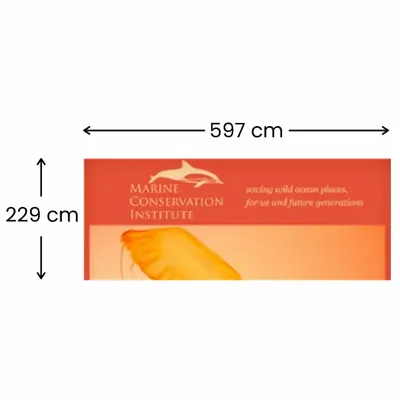 597 x 229 cm - Imprint Now - AUS