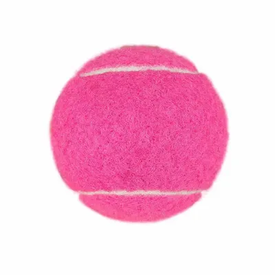 Fuchsia - Imprint Now - AUS