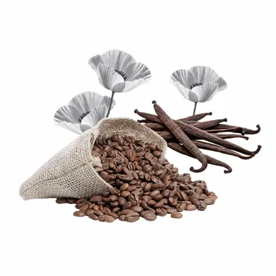 Black Opium - Imprint Now - AUS