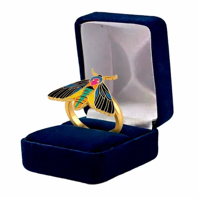 Blue Velvet Box - Imprint Now - AUS