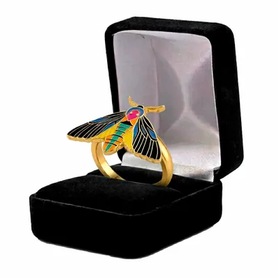 Black Velvet Box - Imprint Now - AUS