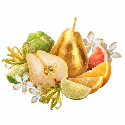 Golden Adore - Imprint Now - AUS