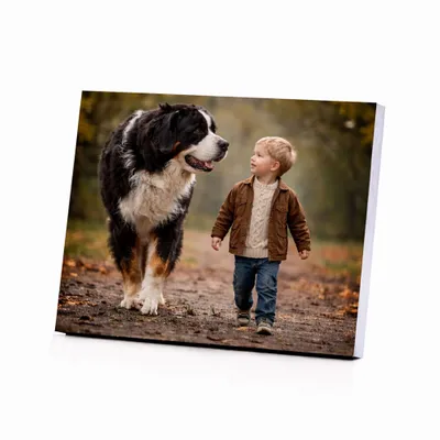 Glossy Desktop Photo Frames