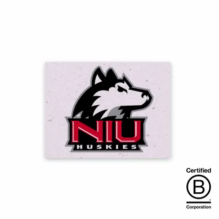 Seed Paper Panel Cards - Imprint Now - AUS