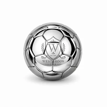 Soccer Ball Stainless Steel Ice Cubes - Imprint Now - AUS