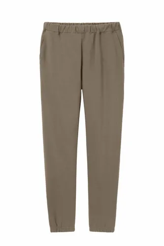Brown Savana