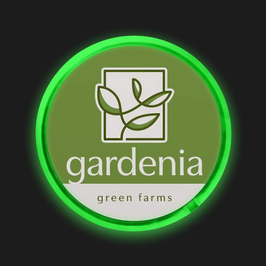 Light Button Pins - Imprint Now - AUS