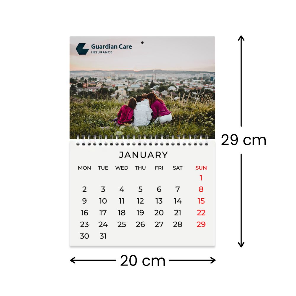 20 cm W x 29 cm H 20 cm W x 29 cm H
