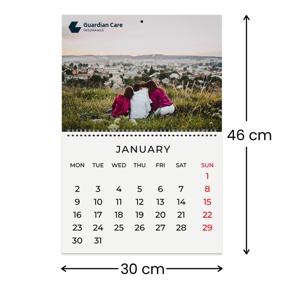 30 cm W x 46 cm H 30 cm W x 46 cm H