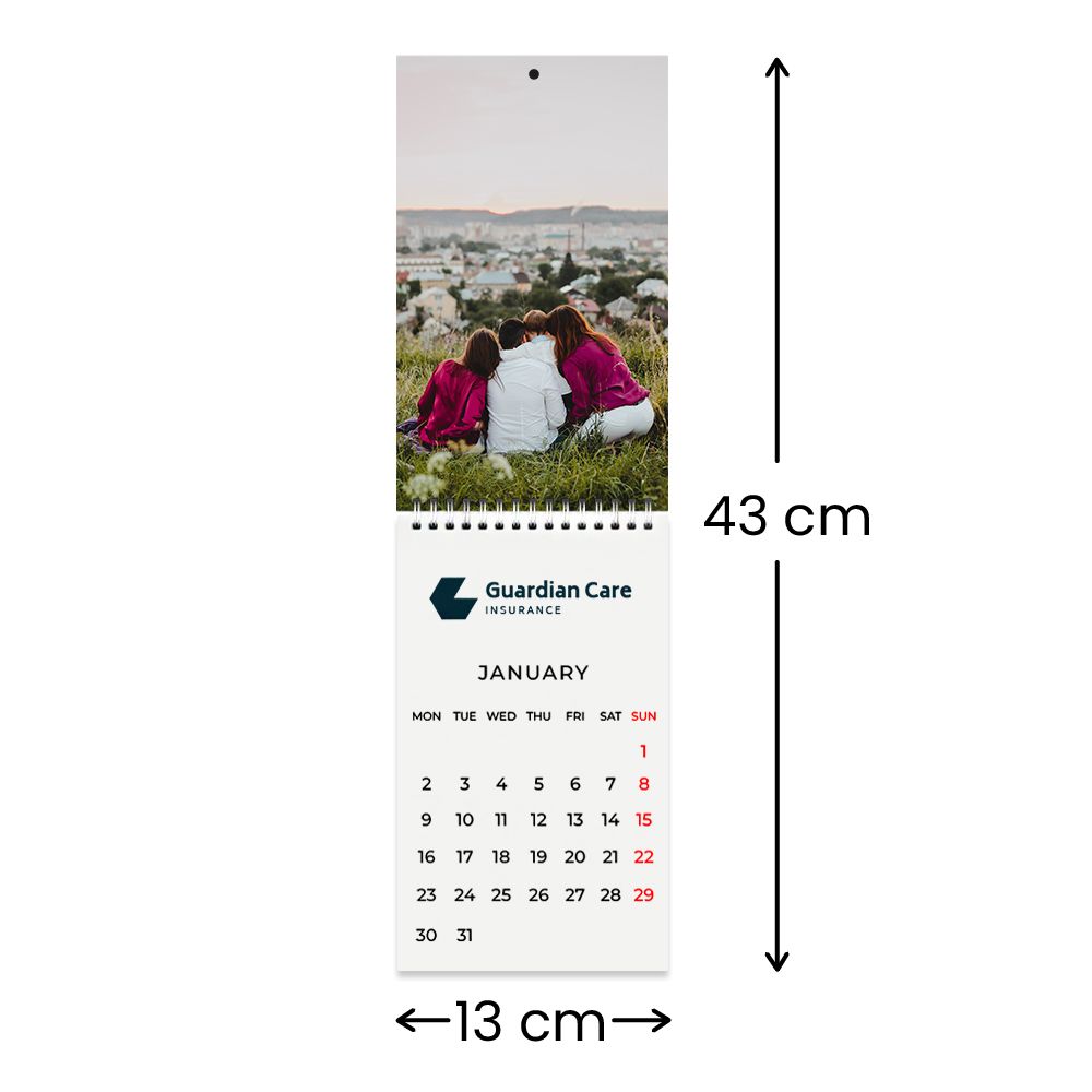 13 cm W x 43 cm H 13 cm W x 43 cm H